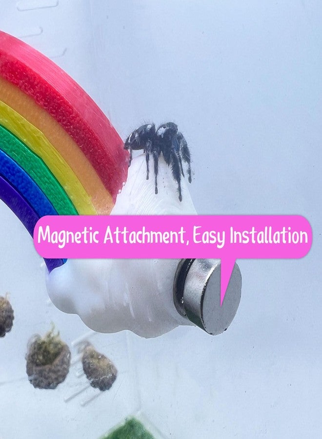Daerky Jumping Spider Hidden Rainbow Bridge, Magnetic Jumping Spider Cloud Rainbow Platform, 3D Printed Spider Climbing Fence Accessories, Suitable for All Kinds of Small Insect Habitats (Small) - Image 4